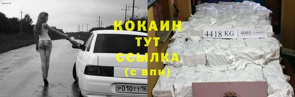 соль ск Абаза