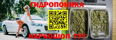 гашик Партизанск