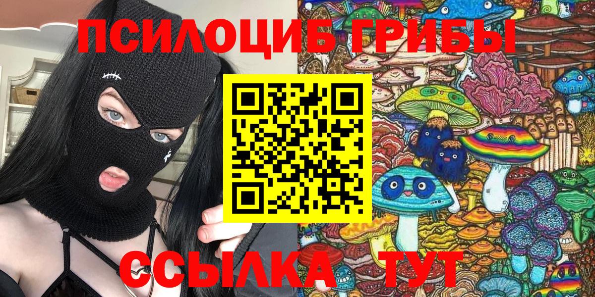 Псилоцибиновые грибы мицелий Холмск