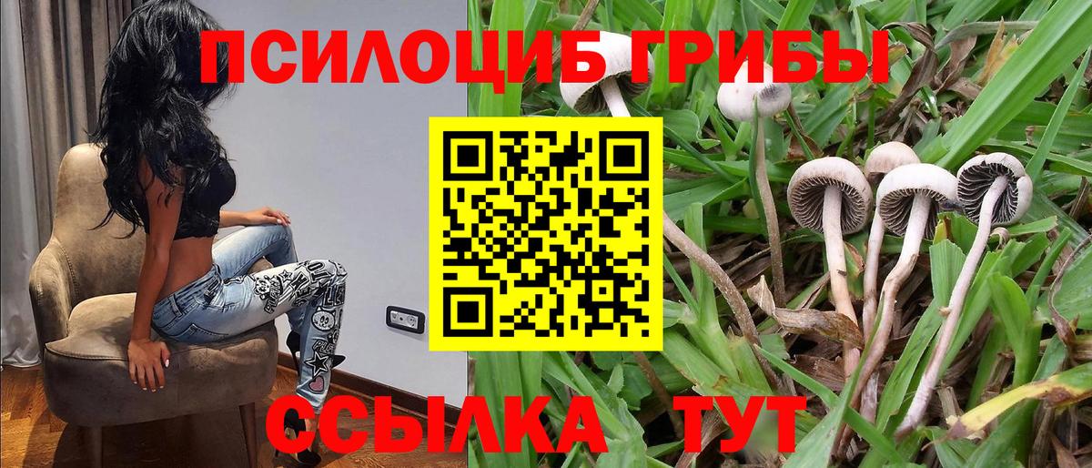 Псилоцибиновые грибы мухоморы  Вход с VPN  Холмск  Псилоцибиновые грибы MAGIC MUSHROOMS 